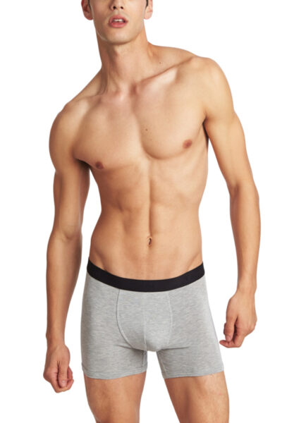 Sexy & Toned in Grey Boxer Briefs