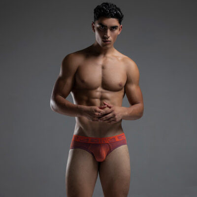 The Serious Pose in C-IN2 Briefs