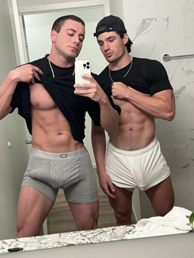 Comparing Bulges